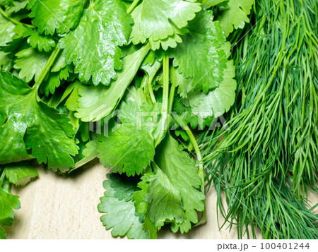 Mix of greens from the garden. Parsley, cilantro, dill on the kitchen table. Cooking. Useful food. Spices for the dish. Salad preparation. 100401244