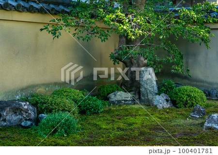 京都北山の大徳寺龍源院の竜吟庭 京都北山の大徳寺龍源院の竜吟庭 100401781