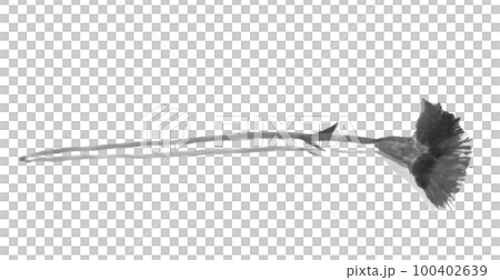 康乃馨花單色(水墨手繪插圖) 康乃馨花單色(水墨手繪插圖) 100402639