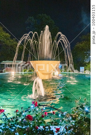 花巻温泉 バラ園 ライトアップ(岩手県花巻市) 花巻温泉 バラ園 ライトアップ(岩手県花巻市) 100403155