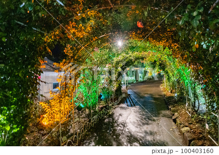 花巻温泉　バラ園　ライトアップ（岩手県花巻市） 100403160
