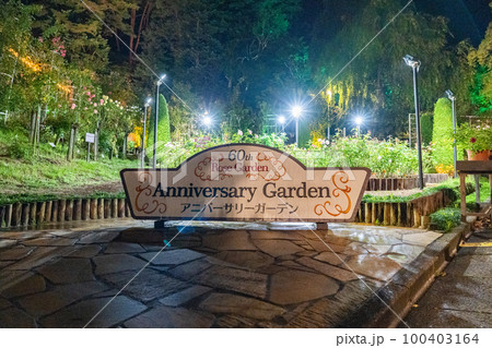花巻温泉 バラ園 ライトアップ(岩手県花巻市) 花巻温泉 バラ園 ライトアップ(岩手県花巻市) 100403164