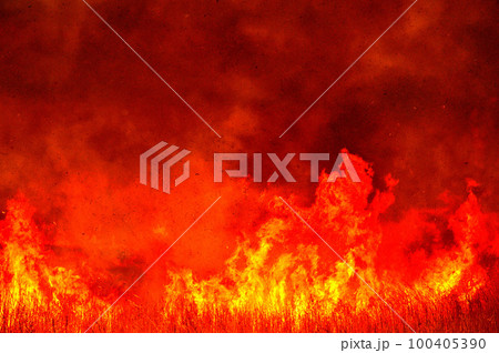 炎 ヨシ焼 渡良瀬遊水池 炎 ヨシ焼 渡良瀬遊水池 100405390