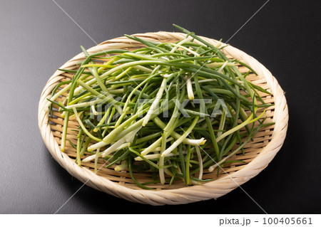 あさつき　野菜 100405661