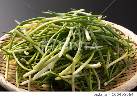 あさつき　野菜 100405664