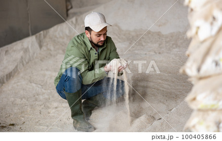Male farmer checks the quality of cornmeal in an animal feed warehouse 100405866