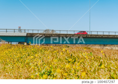 橋を渡る赤い車と黄色い花咲く早春の堤と青い空　フィルム調 100407297