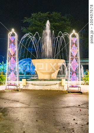 花巻温泉 バラ園 ライトアップ(岩手県花巻市) 花巻温泉 バラ園 ライトアップ(岩手県花巻市) 100407678