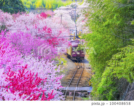 花桃とわたらせ渓谷鐡道2 花桃とわたらせ渓谷鐡道2 100408658