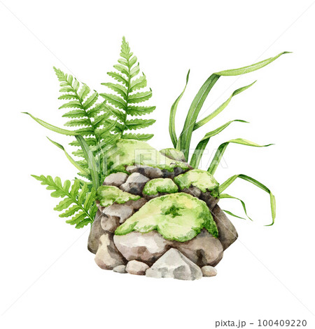 Mossy stone pile with green grass and fern illustration. Hand drawn watercolor outdoor landscape element. Park, forest, garden green lush natural element. Stones with green moss and vegetation around Mossy stone pile with green grass and fern illustration. Hand drawn watercolor outdoor landscape element. Park, forest, garden green lush natural element. Stones with green moss and vegetation around 100409220