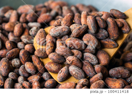 Cocoa beans and cocoa pod on a wooden surface. Cocoa beans and cocoa pod on a wooden surface. 100411418