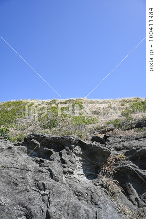 神奈川県三浦市城ヶ島公園の風景 100411984