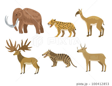 Prehistoric animals, mammoth, saber-tooth tiger, macrauchenia, clip-art collection. Vector illustration of cartoon animal characters. Prehistoric animals, mammoth, saber-tooth tiger, macrauchenia, clip-art collection. Vector illustration of cartoon animal characters. 100412853