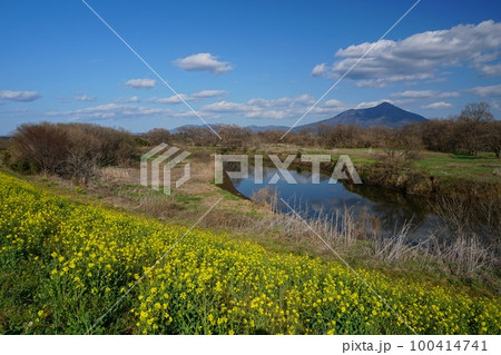 青空を背景にした小貝川河川敷の菜の花と筑波山の風景　Ver1 100414741