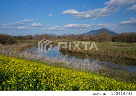 青空を背景にした小貝川河川敷の菜の花と筑波山の風景　Ver2 100414742