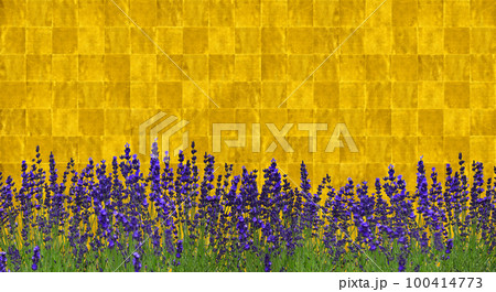菖蒲に変えてラベンダーが咲く、現代風琳派アートの背景 菖蒲に変えてラベンダーが咲く、現代風琳派アートの背景 100414773