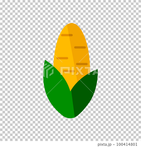 maize corn maize corn 100414801