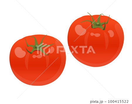 トマト 100415522