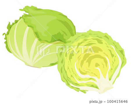 レタス レタス 100415646