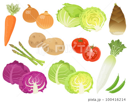 春野菜のセット 100416214