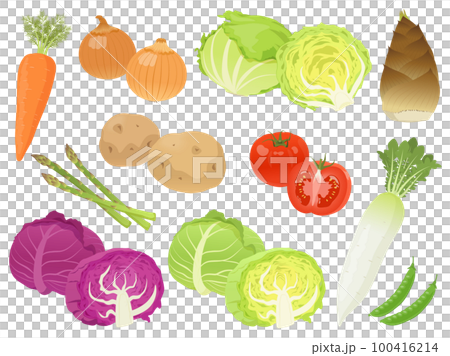 春野菜のセット 100416214