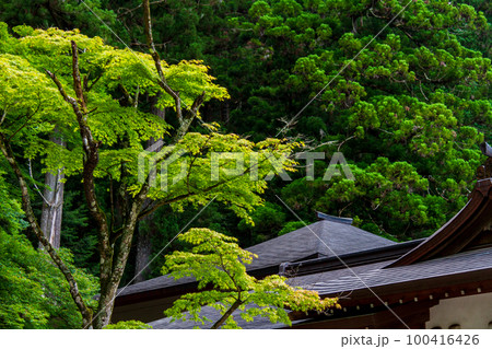 静岡県周智郡森町一宮　小國神社と境内の風景 100416426