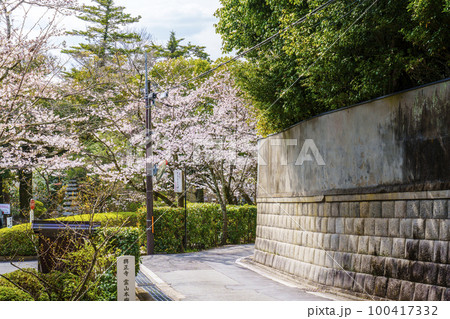 興正寺 霊山本廟前 維新の道 桜が満開の季節 興正寺 霊山本廟前 維新の道 桜が満開の季節 100417332