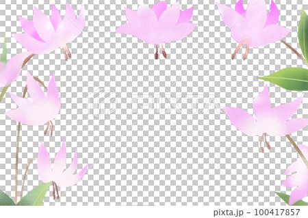 Katakuri flower card Katakuri flower card 100417857