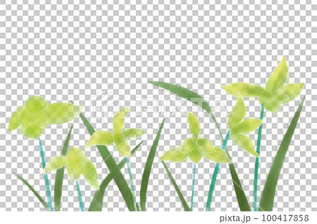 Shunran flower card 2 Shunran flower card 2 100417858