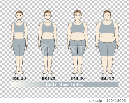 ボディマスインデックス 中高年女性の体形変化 ダイエットのビフォーアフター イラスト ベクター 100418096