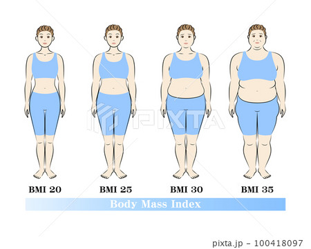 ボディマスインデックス 中高年女性の体形変化 ダイエットのビフォーアフター イラスト ベクター 100418097