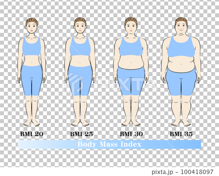 ボディマスインデックス 中高年女性の体形変化 ダイエットのビフォーアフター イラスト ベクター 100418097