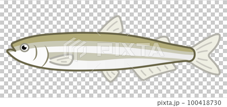 Smelt 100418730