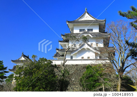 【三重県】快晴の伊賀上野城 100418955