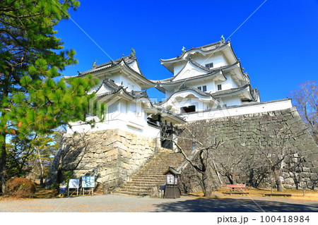 【三重県】快晴の伊賀上野城 【三重県】快晴の伊賀上野城 100418984
