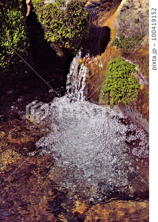 泡立つコケのある渓流　井原山　風景 100419152