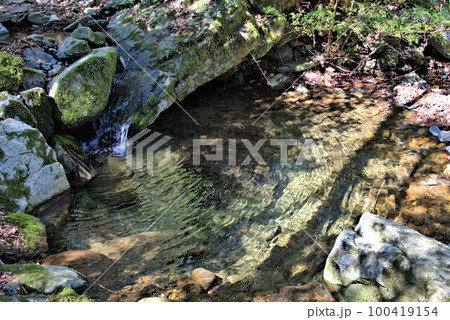 コケのある渓谷登山　井原山　風景 100419154