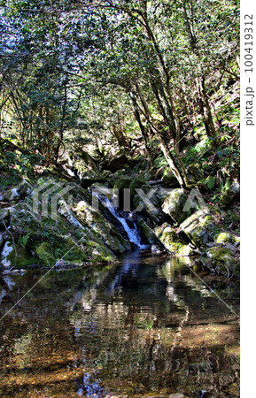 コケのある渓谷登山 井原山 風景 コケのある渓谷登山 井原山 風景 100419312