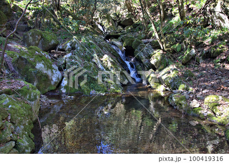 コケのある渓谷登山 井原山 風景 コケのある渓谷登山 井原山 風景 100419316