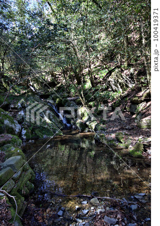 コケのある渓谷登山　井原山　風景 100419371