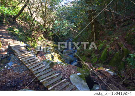 コケのある渓谷登山　井原山　風景 100419374
