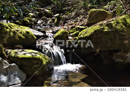 コケのある渓谷登山　井原山　風景 100419381