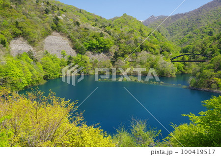 新緑に囲まれた奥四万湖の青い湖面と赤沢橋 新緑に囲まれた奥四万湖の青い湖面と赤沢橋 100419517
