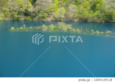 新緑時期に現れる奥四万湖の浮島とコバルトブルーの湖面 新緑時期に現れる奥四万湖の浮島とコバルトブルーの湖面 100419518