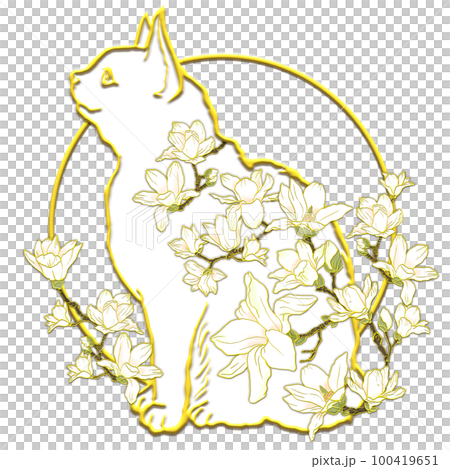 木蓮の花と猫_横顔_白猫_背景透過のイラスト素材 [100419651] - PIXTA