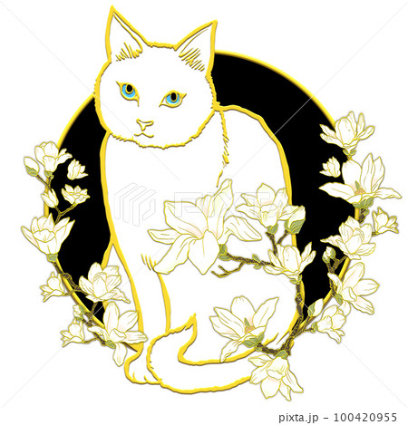木蓮の花と猫_正面向き_白猫_背景黒 100420955