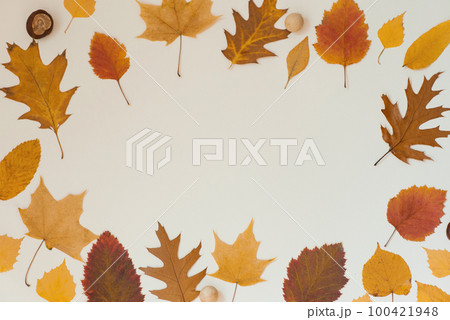 Autumn flat lay background on beige Autumn flat lay background on beige 100421948