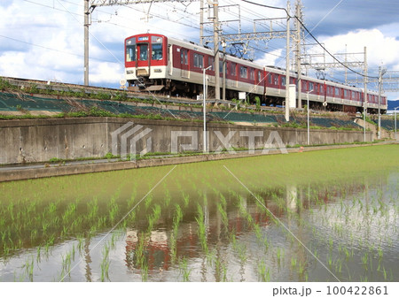 近鉄天理線で田植えの終った水田横の築堤を電車が通過 近鉄天理線で田植えの終った水田横の築堤を電車が通過 100422861