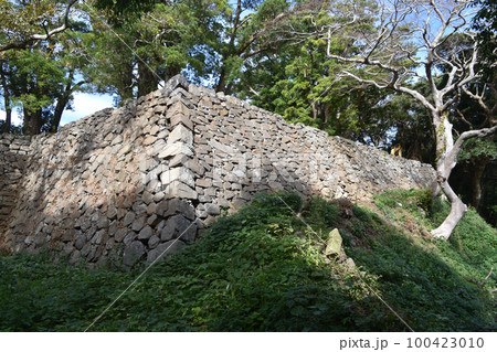 平戸城 二の丸石垣 平戸城 二の丸石垣 100423010