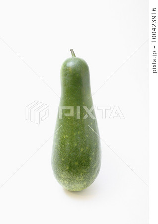 白バックで撮影した冬瓜イメージ写真 白バックで撮影した冬瓜イメージ写真 100423916